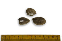 F 03744
<br/>
<br/>
<em></em>